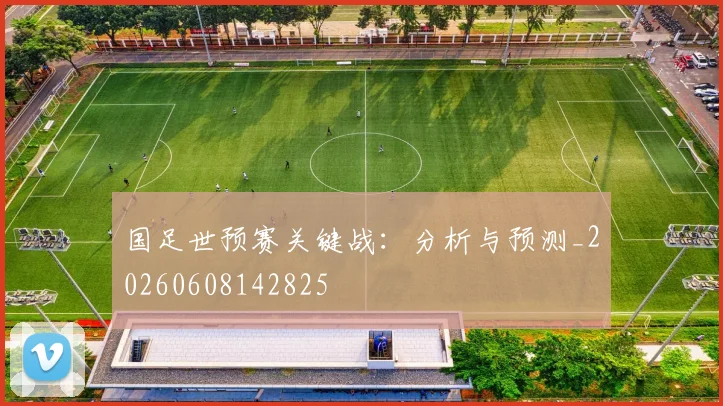 国足世预赛关键战:分析与预测_20260608142825